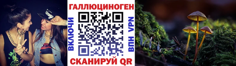 Псилоцибиновые грибы Cubensis как найти наркотики Ермолино